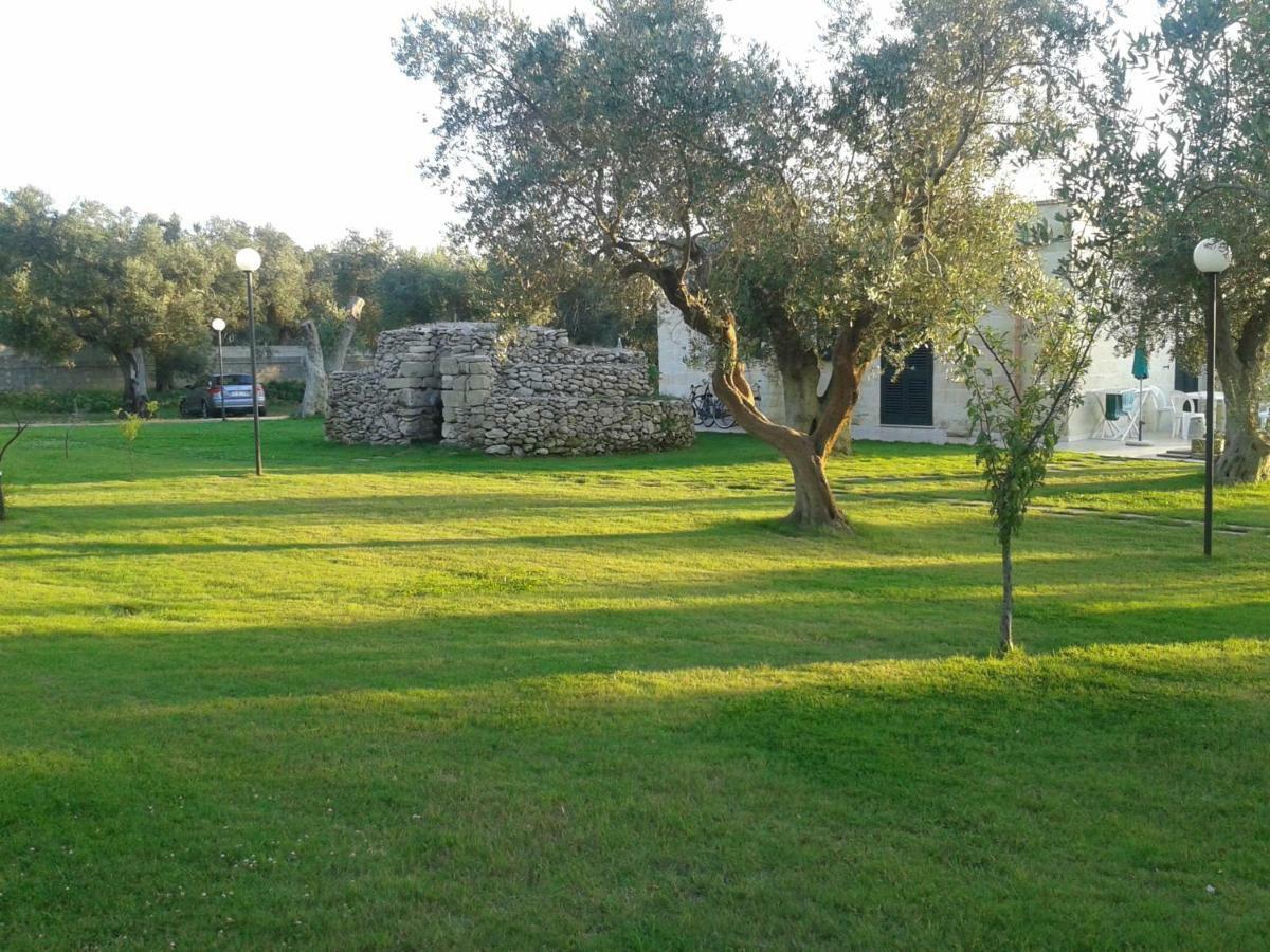 Casa Vacanze Mare E Ulivi ซานโฟกา ภายนอก รูปภาพ