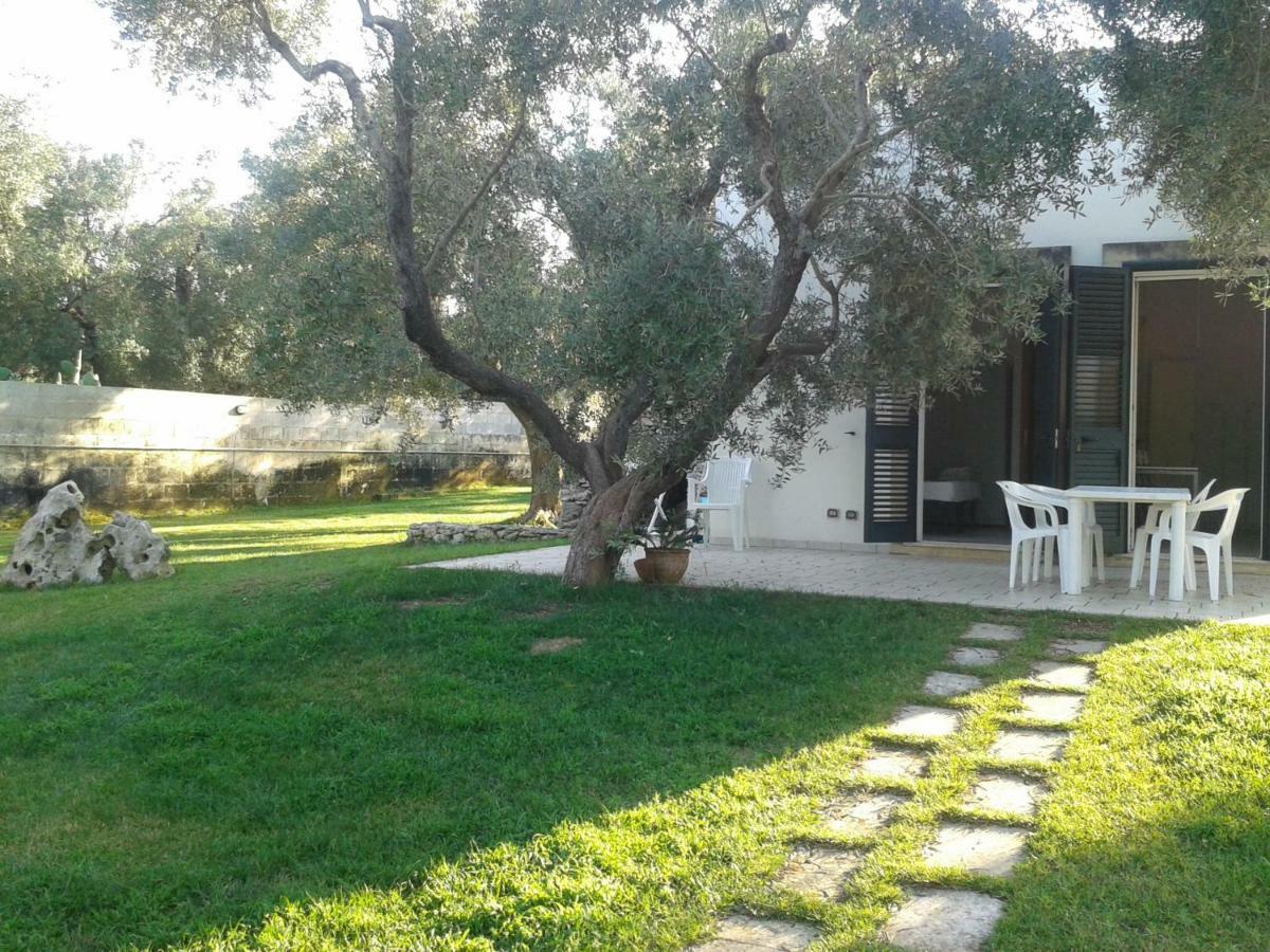 Casa Vacanze Mare E Ulivi ซานโฟกา ภายนอก รูปภาพ
