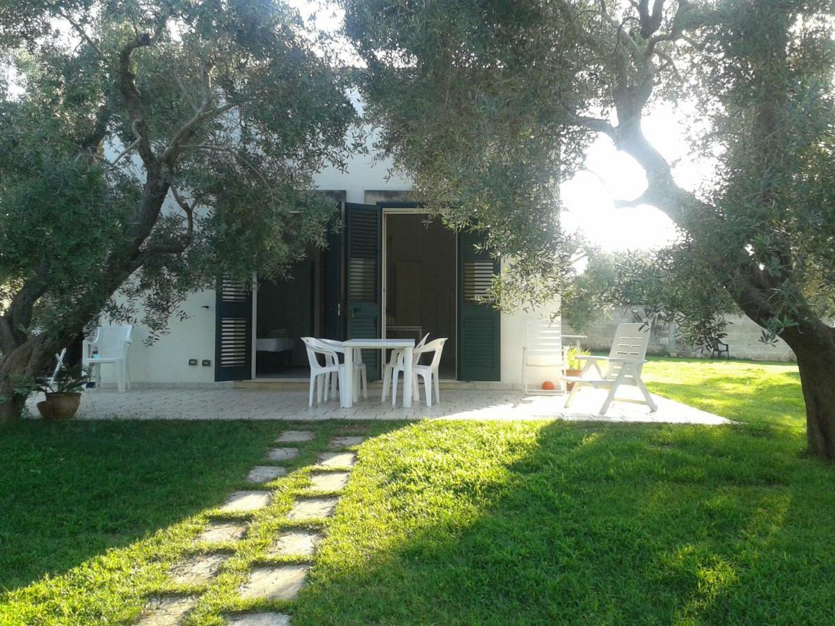 Casa Vacanze Mare E Ulivi ซานโฟกา ภายนอก รูปภาพ